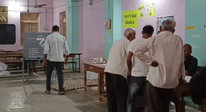 વિસાવદરમાં 2 લાખ, 60 હજાર મતદારો છે. જેમાં 1 લાખ, 30 હજાર લેઉવા પટેલ મતદારો છે. તો 21 હજાર દલિત અને 20 હજાર કોળી મતદારો છે. વિસાવદરની પેટા ચૂંટણી માટે ચૂંટણી પંચે ગ્રીન ઇલેક્શનની થીમ અપનાવી છે.