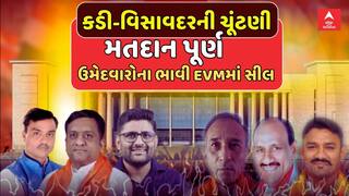 Visavadar-Kadi by Election : કડી-વિસાવદરની ચૂંટણીનું મતદાન પૂર્ણ, ઉમેદવારોના ભાવી EVMમાં સીલ