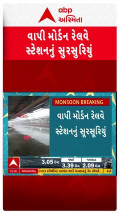 Vapi Rain: વાપી મોર્ડન રેલવે સ્ટેશનનું સૂરસૂરિયું, વરસાદે ખોલી વાપી રેલવે પ્રશાસનની પોલ