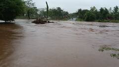 ડાંગમાં 9.8 ઈંચ વરસાદ ખાબક્યો, જાણો છેલ્લા 24 કલાકમાં રાજ્યમાં ક્યાં કેટલો વરસ્યો વરસાદ?