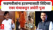 Sanjay Raut : Devendra Fadnavis यांना हटवण्यासाठी एकनाथ शिंदेंच्या मंत्र्यांकडून अघोरी पूजा
