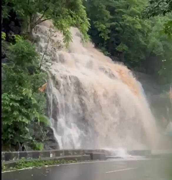 હવામાન વિભાગે આજે (19 જૂન) દક્ષિણ ગુજરાતના 6 જિલ્લામાં ઑરેન્જ ઍલર્ટ જાહેર કર્યું છે. જેમાં સુરત, નવસારી, ડાંગ, વલસાડ, દમણ અને દાદરા અને નગર હવેલીમાં ભારે વરસાદની આશંકા છે.