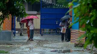 Kaliganj By Election: নদিয়ার কালীগঞ্জ বিধানসভায় শুরু উপনির্বাচন, বৃষ্টি মাথায় করেই ভোট দিতে আসছেন সাধারণ মানুষ