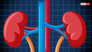 किडनी में सूजन होने पर दिखते हैं ये लक्षण, समय रहते हो जाएं सतर्क