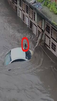 नाशिकमध्ये गोदावरीत कार अडकली!