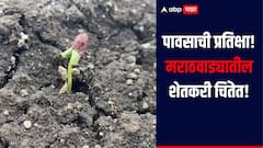 कोकणसह पश्चिम महाराष्ट्रात पावसाचा धुमाकूळ, मराठवाडा मात्र कोरडाच, शेतकऱ्यांची चिंता वाढली