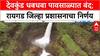 Devkund Waterfall : देवकुंड धबधबा, ताम्हिणी घाट, सिक्रेट पाईंटवर बंदी; जिल्हा प्रशासनाचा निर्णय