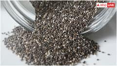 क्या चिया सीड्स से डिटॉक्स हो जाता है लिवर? जानें इस बात में कितनी हकीकत