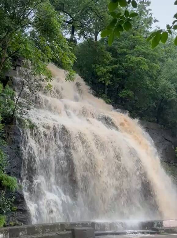 રાજ્યમાં છેલ્લાં ત્રણથી ચાર દિવસથી વરસાદ ચાલુ છે, સૌરાષ્ટ્ર અને દક્ષિણ ગુજરાત સહિતના અનેક વિસ્તારોમાં ધોધમાર વરસાદ વરસી રહ્યો છે. ગુજરાતમાં ગત 24 કલાકમાં 160 તાલુકામાં ધોધમાર વરસાદ ખાબક્યો હતો. સૌથી વધુ ડાંગમાં 10 ઇંચ અને વલસાડના કપરાડામાં 9.5 ઇંચ વરસાદ પડ્યો હતો.