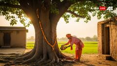 पीपल के पेड़ की पूजा: जानें इसके चमत्कारी लाभ, दूर होंगे दुख और मिलेगी लंबी आयु!