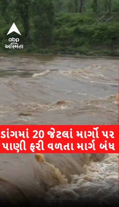 Dang Rain: Road Blocked: ધોધમાર વરસાદથી 20 જેટલા રસ્તાઓ પર પાણી ફરી વળતા માર્ગ બંધ | Abp Asmita