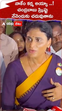 YS Sharmila about Chandrababu