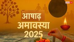 आषाढ़ अमावस्‍या 2025: पितरों की कृपा पाने के लिए लगाएं ये दो पवित्र पौधे