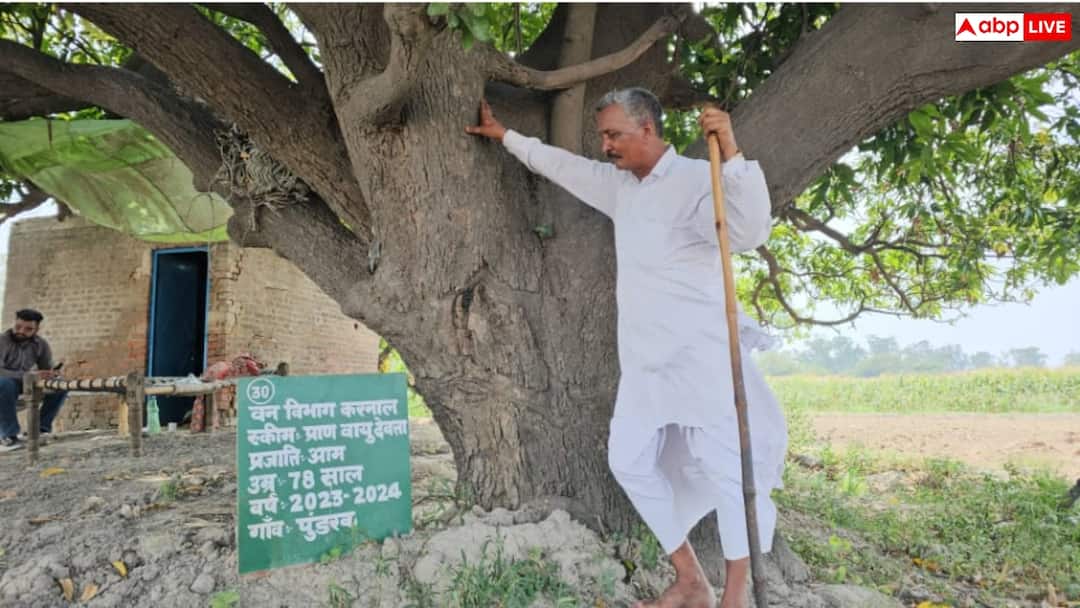 Pran Vayu Devta’ Scheme: 3000 rupees Annual Pension to Caretakers of 75 Years Old Trees ANN करनाल: 75 साल के बूढ़े पेड़ों को मिल रही पेंशन, 'प्राण वायु देवता' योजना के तहत सालाना मिल रहे इतने रुपये