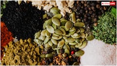 क्या वाकई हेल्दी होते हैं कद्दू के बीज? ये 5 कारण दूर कर देंगे आपकी ये गलतफहमी