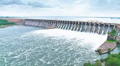 उजनी धरणाच्या पाणीपातळीत मोठी वाढ; आषाढी सोहळ्यात संभाव्य पूर परिस्थिती टाळण्यासाठी प्रशासनाची लगबग; सायंकाळनंतर भीमा नदीत पाणी सोडणार?