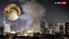 ईरान-इजरायल जंग के चलते भारत को लगा बड़ा झटका, बंद हुआ इस चीज का निर्यात, औंधे मुंह गिरे दाम