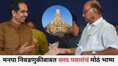 मुंबईत उद्धव ठाकरेंचे प्राबल्य, मनपा निवडणुकीबाबत चर्चा करू, शरद पवारांचे मोठं भाष्य