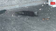 ईरान ने पहली बार किया इजरायल के खिलाफ इस्तेमाल किया क्लस्टर बम, जानें ये कितना घातक