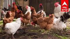 நீங்களும் முதலாளி ஆகலாம் ! அரசின் அதிரடி அறிவிப்பு... ரூ.1.65 லட்சம் மானியம்... மிஸ் பண்ணிடாதீங்க !