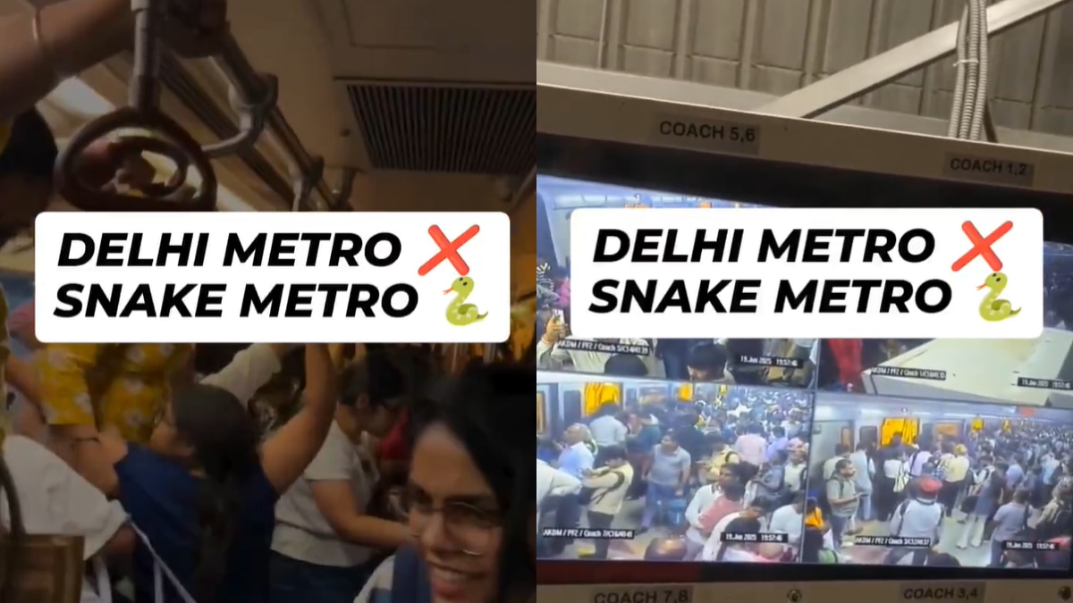 Unexpected Passenger? Snake In Delhi Metro Goes Viral