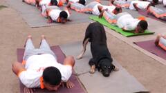 WATCH: NDRF-Trained Dog Steals Show At Yoga Session In Udhampur Ahead Of International Yoga Day