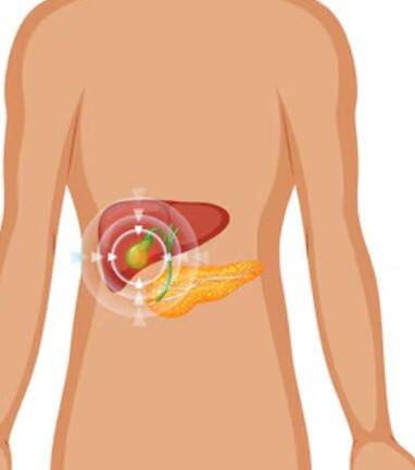 ਜਿਗਰ ਸਾਡੀ ਸਰੀਰ ਦੀ ਇੱਕ ਮਹੱਤਵਪੂਰਣ ਅੰਗ ਹੈ ਜੋ ਖੂਨ ਸਾਫ਼ ਕਰਨ ਅਤੇ ਪਾਚਣ ਤੰਤਰ ਨੂੰ ਠੀਕ ਰੱਖਣ ਵਿੱਚ ਮਦਦ ਕਰਦਾ ਹੈ। ਜੇਕਰ ਇਸ ਵਿੱਚ ਕੋਈ ਗੜਬੜ ਆ ਜਾਵੇ ਤਾਂ ਸਰੀਰ ਦੀ ਸਾਰੀ ਕਾਰਗੁਜ਼ਾਰੀ ਪ੍ਰਭਾਵਿਤ ਹੋ ਸਕਦੀ ਹੈ। ਬਿਮਾਰੀ ਦੇ ਸ਼ੁਰੂਆਤੀ ਲੱਛਣ ਸਮਝ ਕੇ ਗੰਭੀਰ ਹਾਲਤ ਤੋਂ ਬਚਿਆ ਜਾ ਸਕਦਾ ਹੈ, ਪਰ ਅਕਸਰ ਲੋਕ ਇਨ੍ਹਾਂ ਲੱਛਣਾਂ ਨੂੰ ਅਣਡਿੱਠਾ ਕਰ ਦਿੰਦੇ ਹਨ।