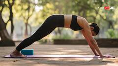 Surya Namaskar: तन-मन दोनों के लिए वरदान है 8 आसन और 12 चरण वाला सूर्य नमस्कार, ऐसे करें अभ्यास