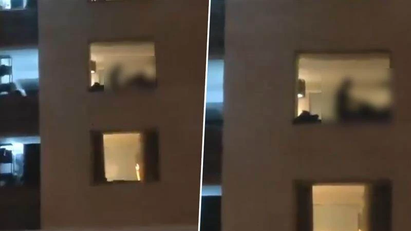 Viral Video: హోటల్ రూం కిటికీ కర్టెన్ వేసుకోకుండా డ్యూటీ ఎక్కేసిన జంట - అంతే ఫ్రీ షో - ట్రాఫిక్ జాం - వీడియో