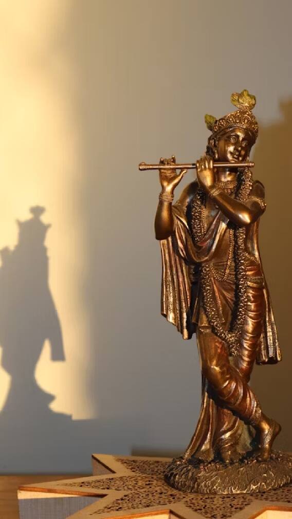 योगिनी एकादशीला करा 'या' 5 वस्तूंचा दान !