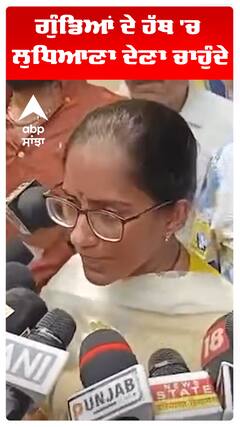 ਗੁੰਡਿਆਂ ਦੇ ਹੱਥ 'ਚ ਲੁਧਿਆਣਾ ਦੇਣਾ ਚਾਹੁੰਦੇ