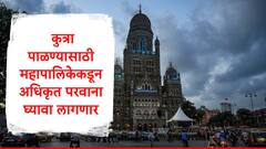 कुत्रा पाळण्यासाठी मुंबई महापालिकेकडून अधिकृत परवाना घेणं बंधनकारक, वार्षिक शुल्क भरावं लागणार