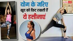 International Yoga Day 2025: मलाइका से शिल्पा तक, बॉलीवुड की ये हसीनाएं योग से रखती हैं खुद को फिट