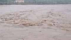 Gujarat Rain: પંચમહાલના જાંબુઘોડામાં આઠ ઈંચ વરસાદથી જળબંબાકાર, 24 કલાકમાં 81 તાલુકામા વરસાદ