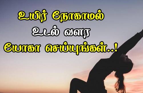 Yoga Day Wishes: யோகா எனும் மாமருந்து..! சர்வதேச யோகா தினத்தை வாழ்த்துகளோட கொண்டாடுங்க..