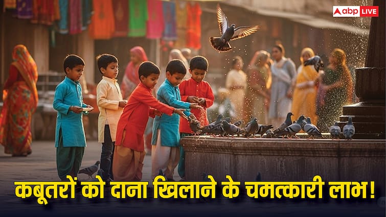 कबूतरों को दाना खिलाने के चमत्कारी लाभ: राहु-केतु दोष से मुक्ति और घर में सुख-समृद्धि!