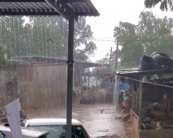 હવામાન વિભાગે જણાવ્યું છે કે, આગામી ત્રણ કલાક દરમિયાન કચ્છ, બનાસકાંઠા, સાબરકાંઠા, મહેસાણા, પાટણ, અરવલ્લી, મહીસાગર, દાહોદ, ગાંધીનગર, છોટાઉદેપુર, અમદાવાદ, ખેડા, આણંદ, પંચમહાલ, વડોદરા, નર્મદા, ભરૂચ, સુરત, તાપી, ડાંગ, વલસાડ, નવસારી, દમણ, દાદરા નગર હવેલી, સુરેન્દ્રનગર, બોટાદ, ભાવનગર, મોરબી, રાજકોટ અને અમરેલી જિલ્લાઓમાં ગાજવીજ સાથે હળવો વરસાદ પડી શકે છે.