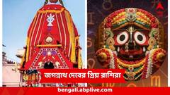 সঙ্কটে রক্ষা করবেন জগন্নাথ, কোনও শক্তিই পারবে না কাবু করতে, রথযাত্রায় কপাল খুলছে ৪ রাশির
