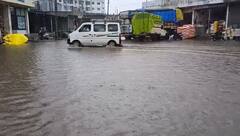 Aravalli Rain: અરવલ્લી જિલ્લામાં ધોધમાર વરસાદ, અનેક વિસ્તારોમાં ભરાયા પાણી