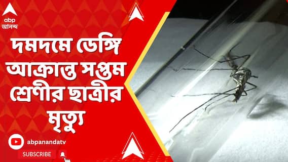 Dengue News : দমদমে ডেঙ্গি আক্রান্ত সপ্তম শ্রেণীর ছাত্রীর মৃত্যু
