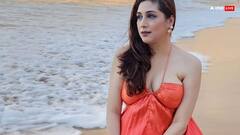 विवियन डीसेना की एक्स वाइफ करने वाली है दूसरी शादी! बच्चे पैदा कर होना चाहती है सेटल