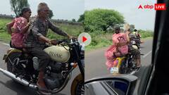 बुजुर्गों का कबीर सिंह...बुलेट पर पत्नी को बिठाकर टशन दिखाते नजर आए चचा, वीडियो वायरल