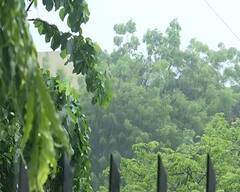 ગુજરાતમાં આગામી 3 કલાકમાં ગાજવીજ સાથે વરસાદ ભુક્કા બોલાવશે, આ જિલ્લાઓ થશે પાણી પાણી