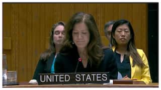 US Envoy Accidentally Blames Israel For 'Chaos, Terror' At UN, Then Corrects It To Iran: WATCH