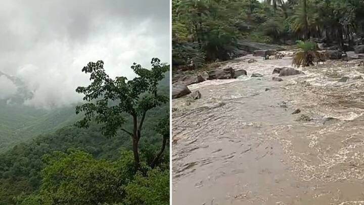 Mount Abu Rain: હિલ સ્ટેશન માઉન્ટ આબુમાં ધોધમાર વરસાદ, સહેલાણીઓ ઉમટી પડ્યા, જુઓ તસવીરો
