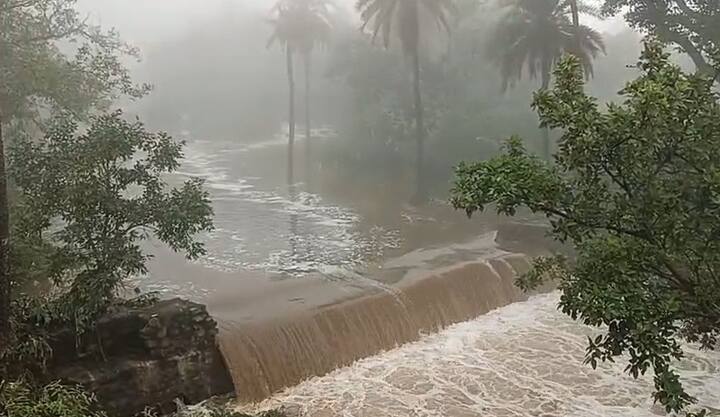 વરસાદથી અનેક ઝરણાં જીવંત બન્યા છે. પહાડો પર વાદળ છવાતા આહ્લાદક વાતાવરણ જોવા મળ્યું. મોટી સંખ્યામાં સહેલાણીઓ માઉન્ટ આબુમાં વરસાદી વાતાવરણમાં મજા માણી રહ્યા છે.