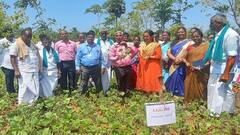 அட்ரா சக்க... அட்ரா சக்க... இனி பூச்சித் தொல்லை குறையுமா: வயல் தினவிழாவில் வேளாண் அதிகாரி சொன்னது என்ன?