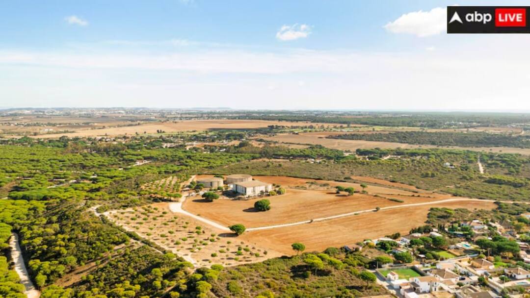 नोएडा में आई कमर्शियल प्लॉट की नई 'शानदार स्कीम, जानें कैसे और कहां करना है अप्लाई? commercial plots has come up in Noida know all the details and how and where to apply नोएडा में आई कमर्शियल प्लॉट की नई 'शानदार स्कीम, जानें कैसे और कहां करना है अप्लाई?