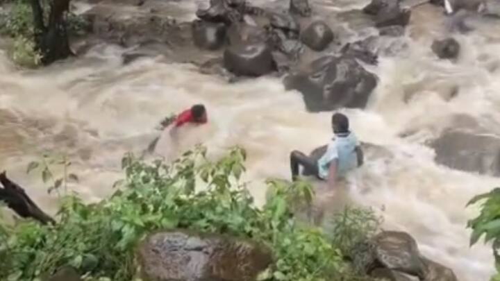 संततधार पावसाने राधानगरीसह भुदरगड तालुक्यातील धबधबे प्रवाहित झाले आहेत.