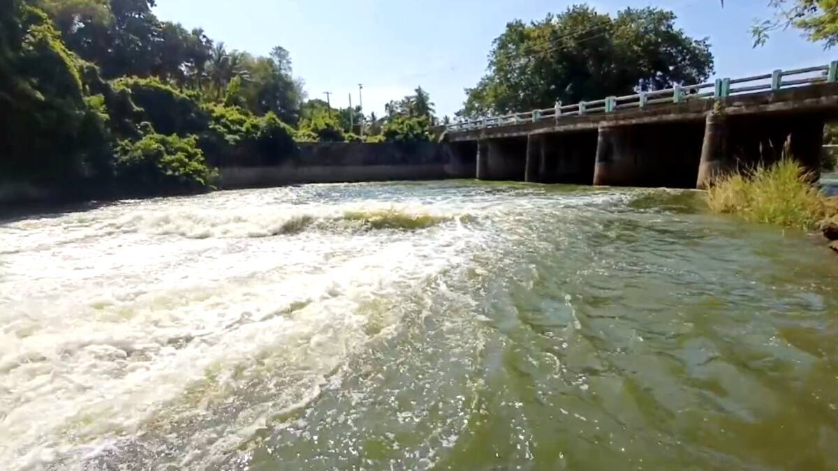 குடகில் தொடங்கி இறுதியாக பூம்புகார் கடலில் கலக்கும் காவிரி... கடைசி கதவணையில் வரவேற்ற விவசாயிகள்..